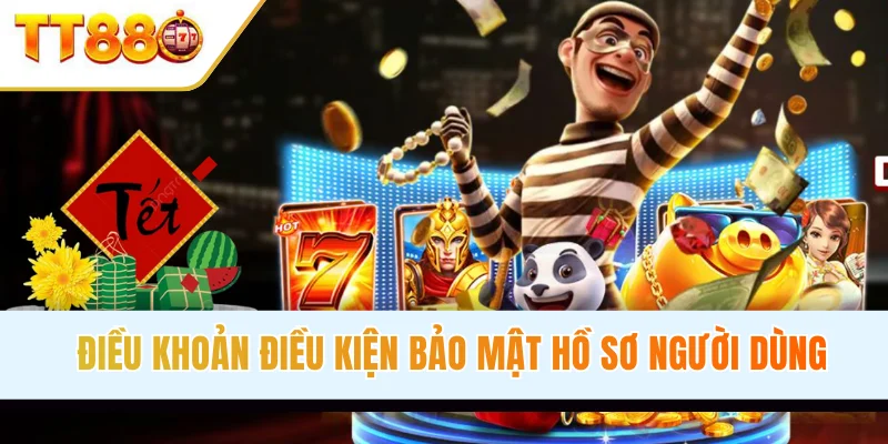 Điều khoản điều kiện bảo mật hồ sơ người dùng